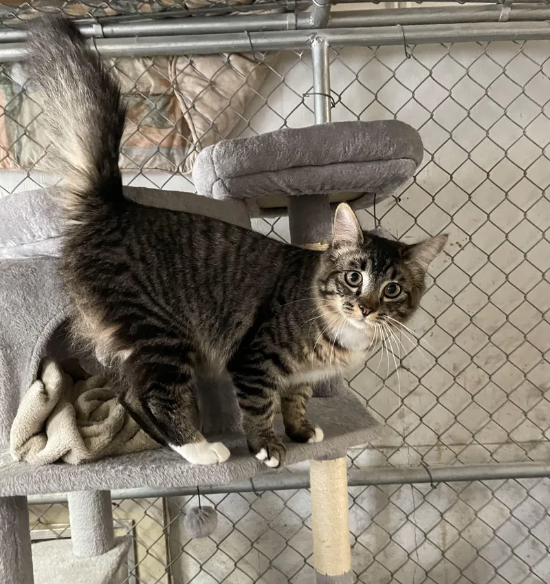 John Wayne thumbnail 2