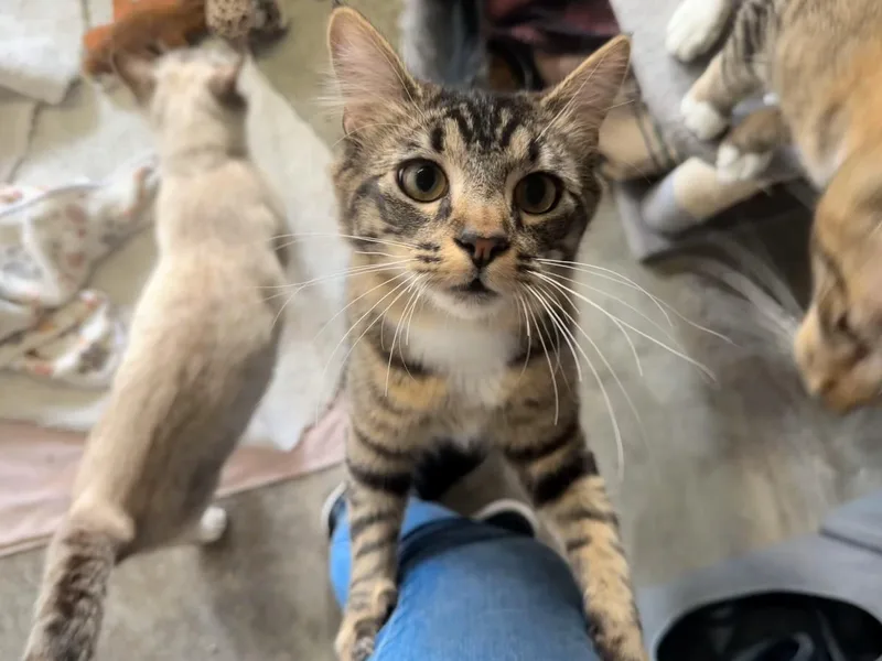 John Wayne thumbnail 3