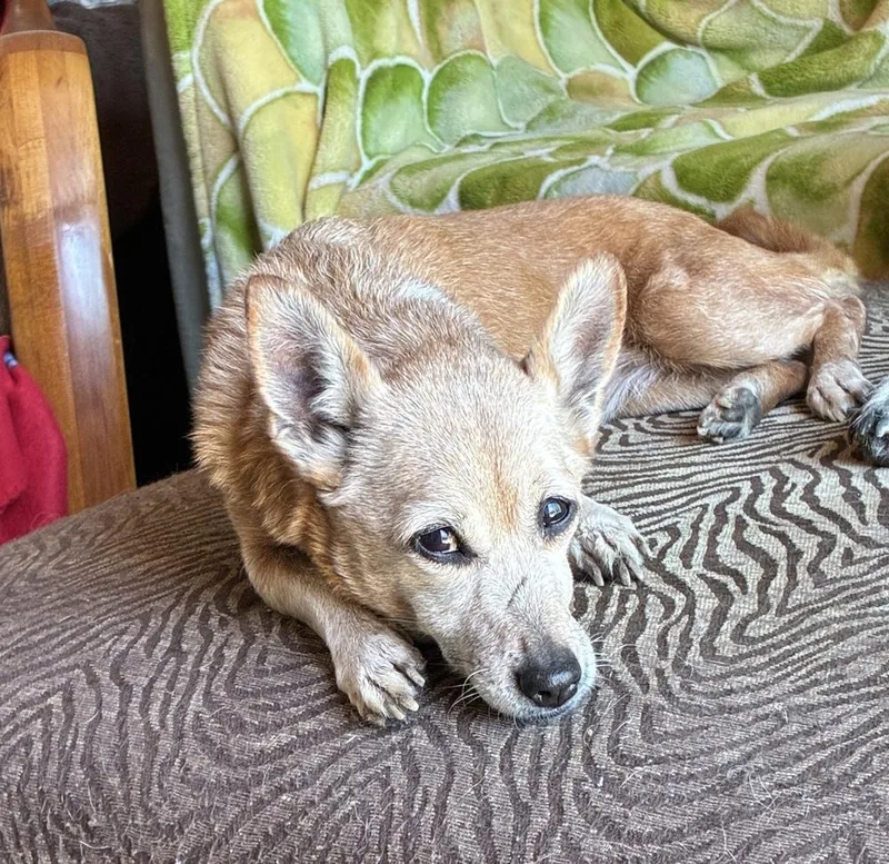 Glorious Glory thumbnail 2