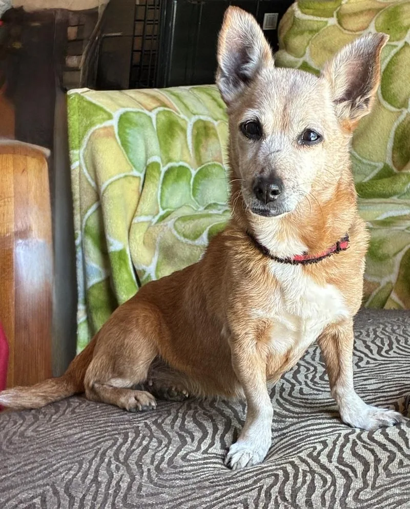 Glorious Glory thumbnail 3