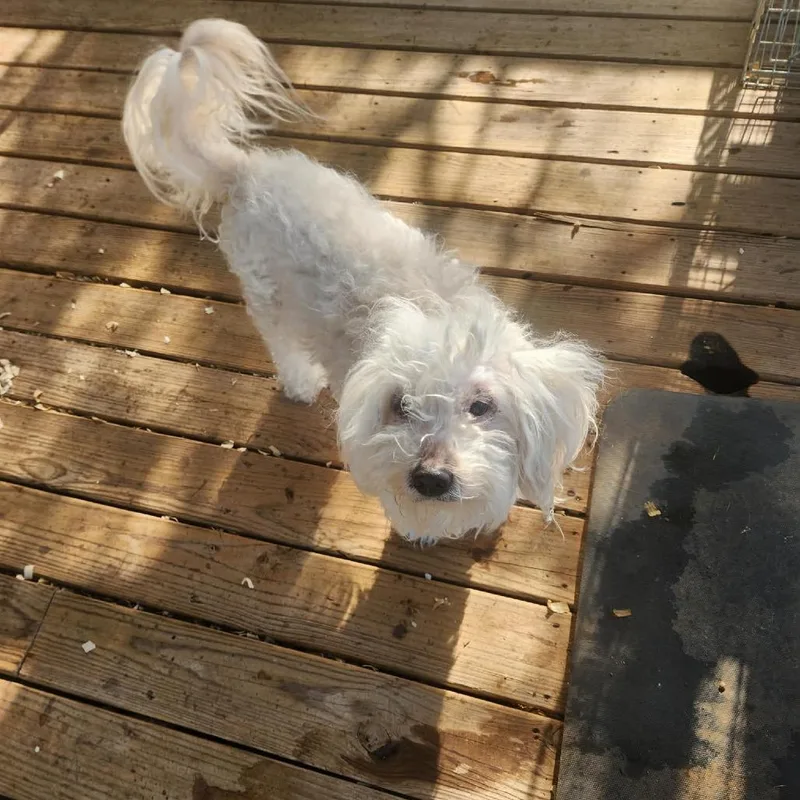 Kirby Ejs thumbnail 3