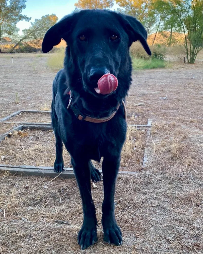 Bugs Bunny thumbnail 2