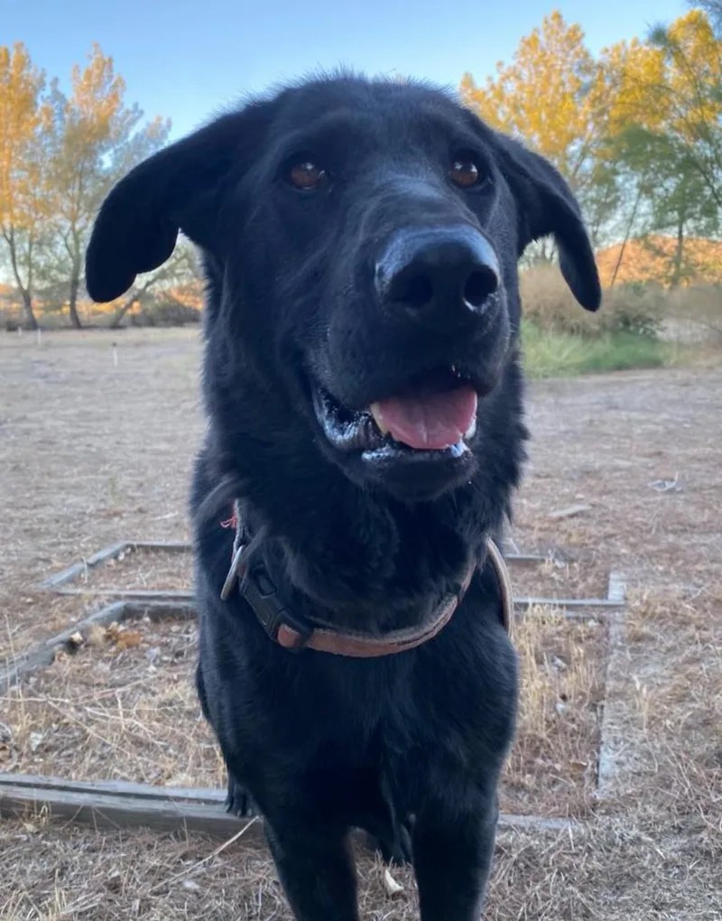 Bugs Bunny thumbnail 3