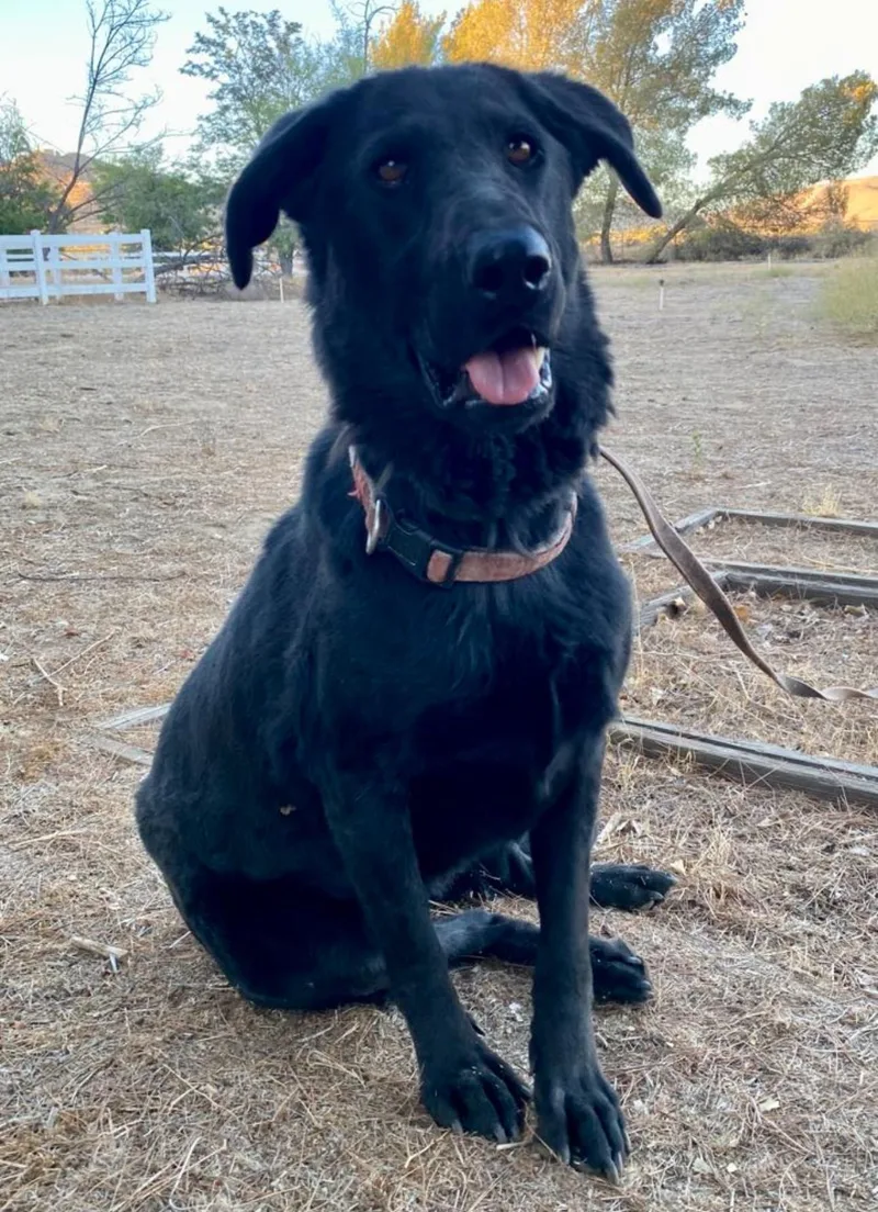 Bugs Bunny thumbnail 5