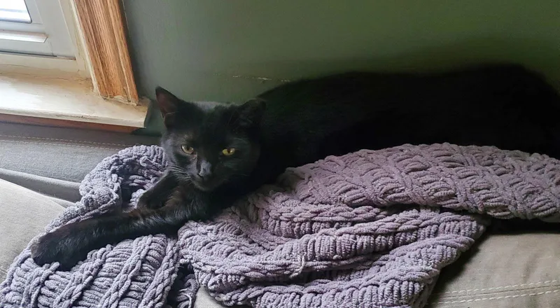 Salsarita thumbnail 2