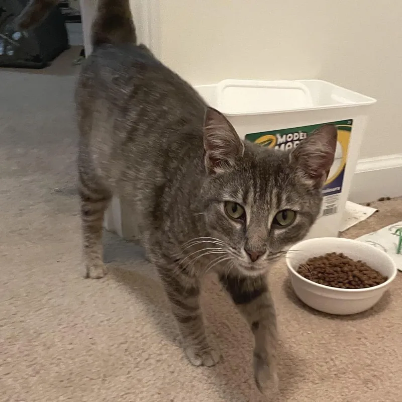 Florence thumbnail 3