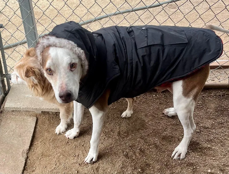 Little Dude thumbnail 5