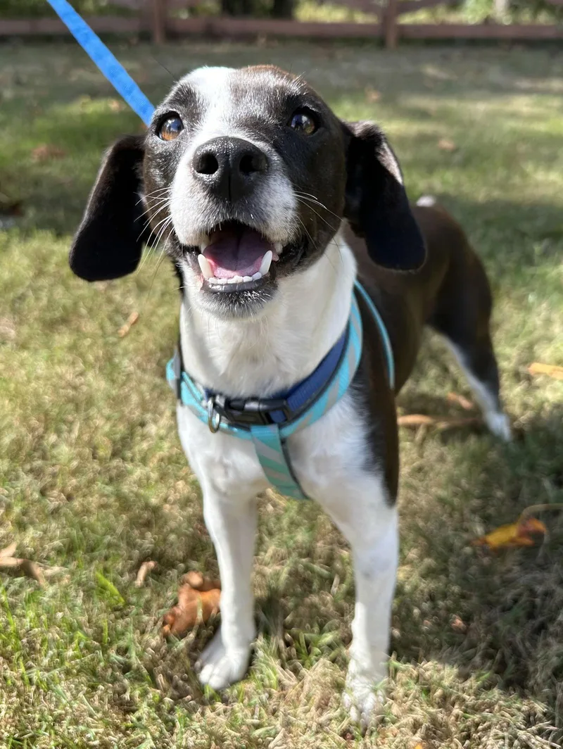 Mookie Blalock thumbnail 2