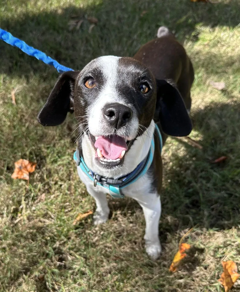 Mookie Blalock thumbnail 3