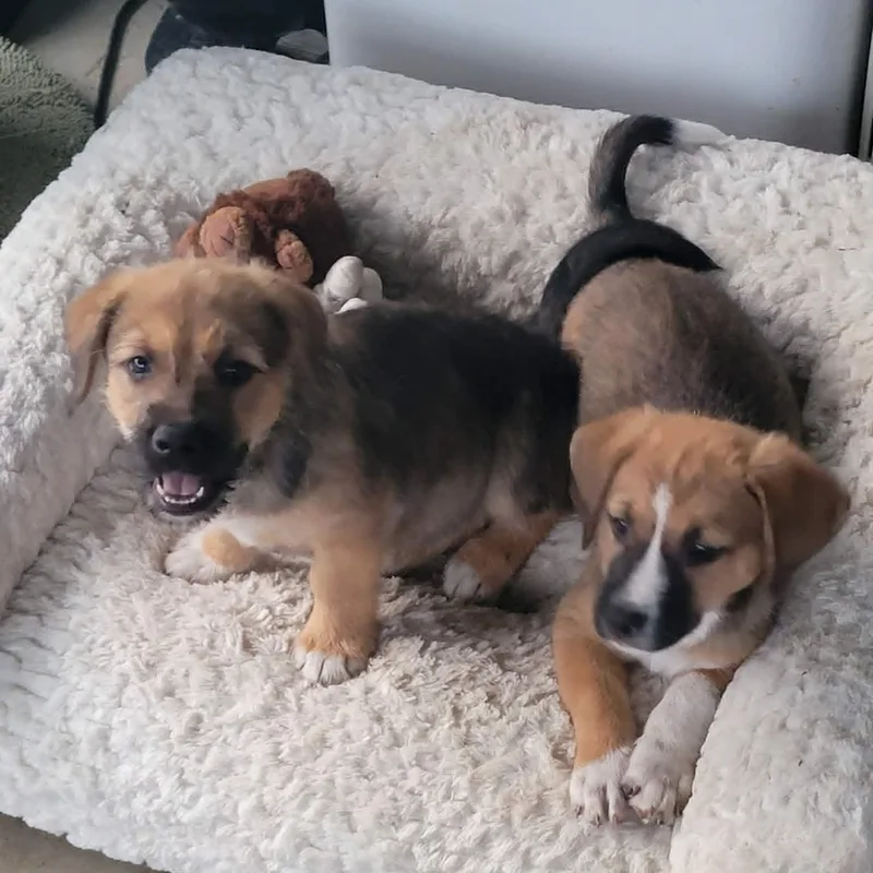 Valentina thumbnail 2