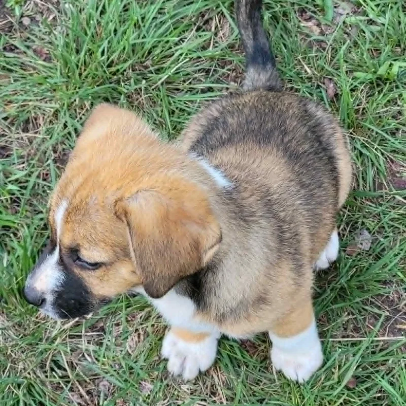 Valentina thumbnail 3