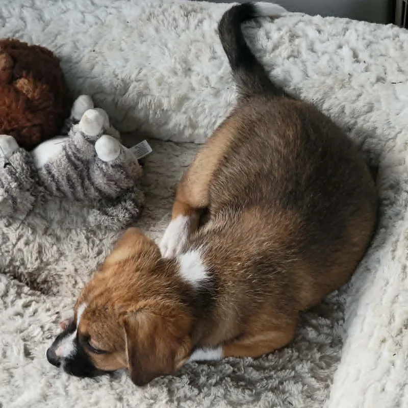 Valentina thumbnail 4