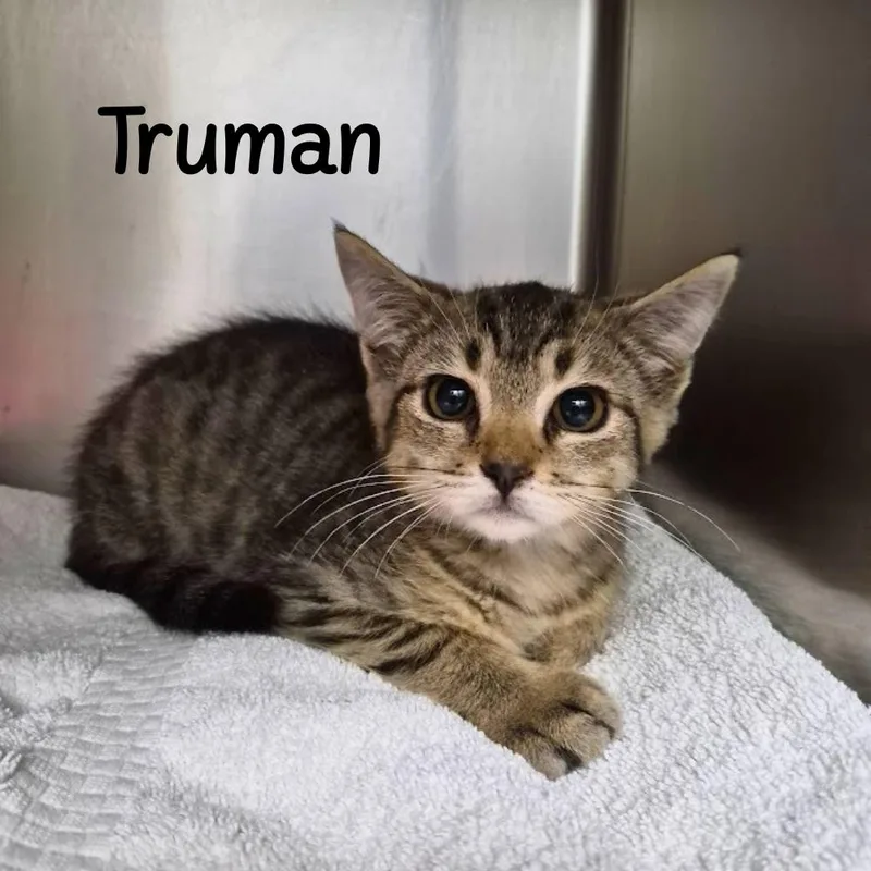 Truman