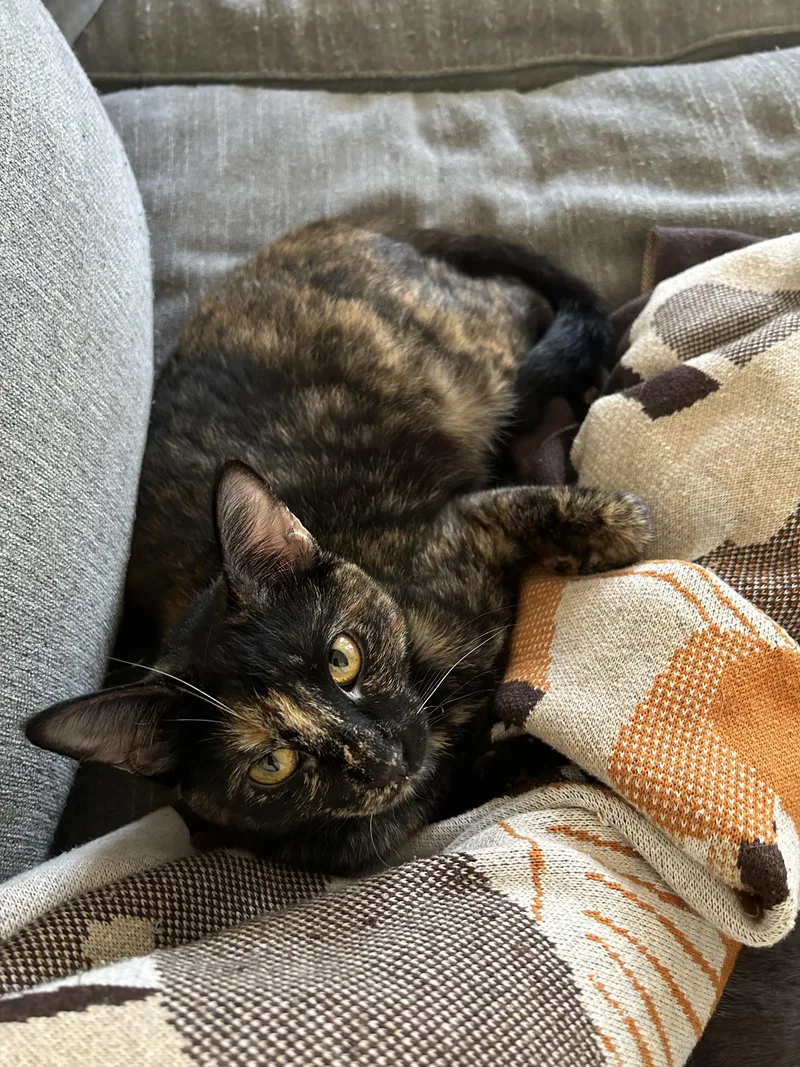 Caroline thumbnail 2