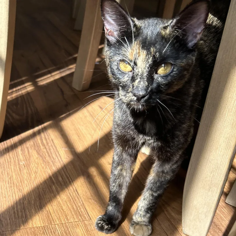 Caroline thumbnail 3