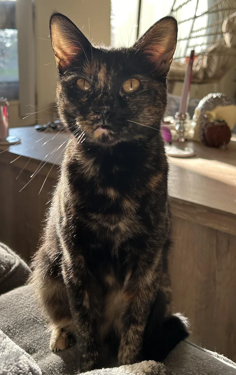 Caroline thumbnail 4