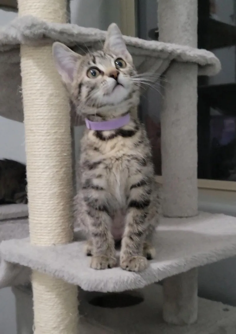 Meredith thumbnail 3