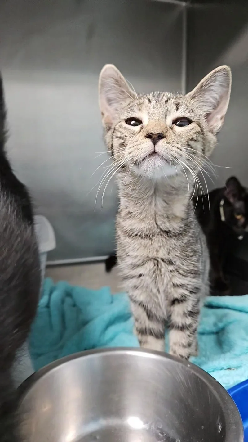 Sabrina thumbnail 3
