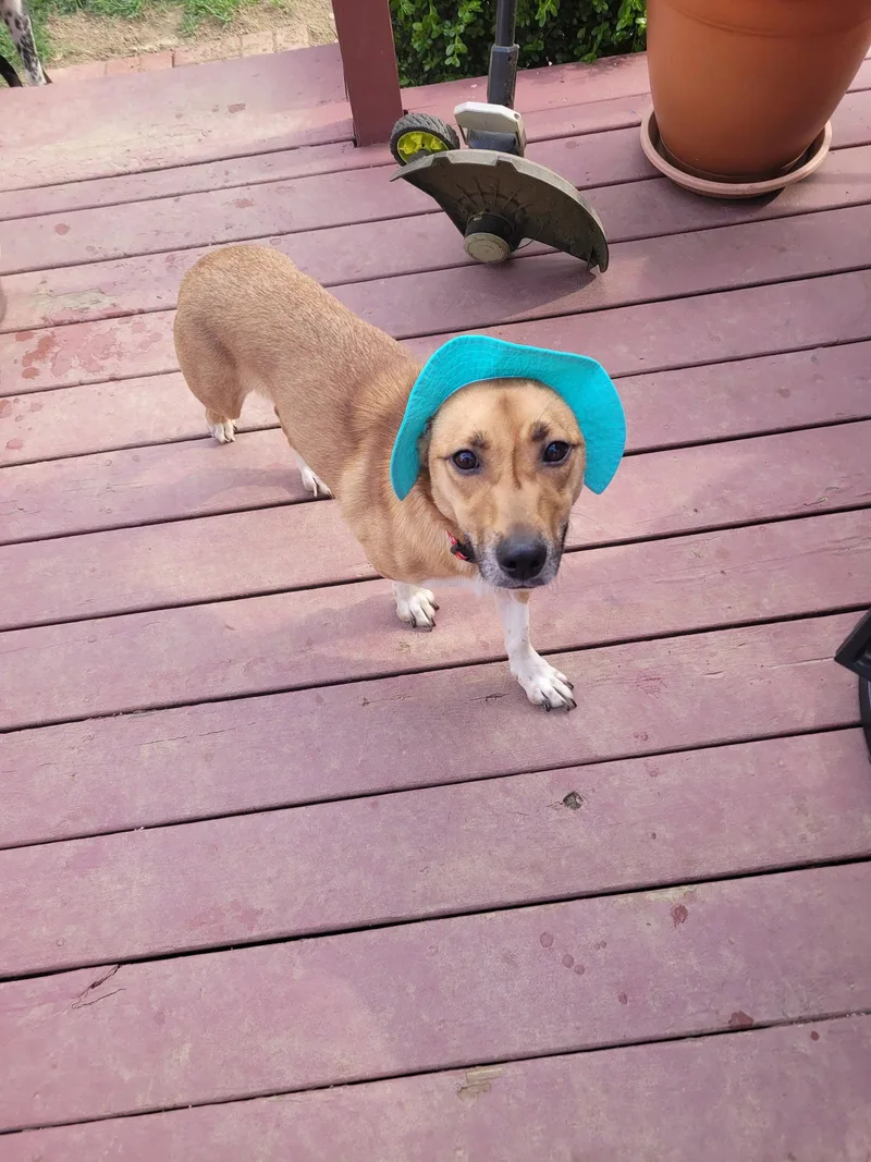 Gracie Lou Freebush thumbnail 2