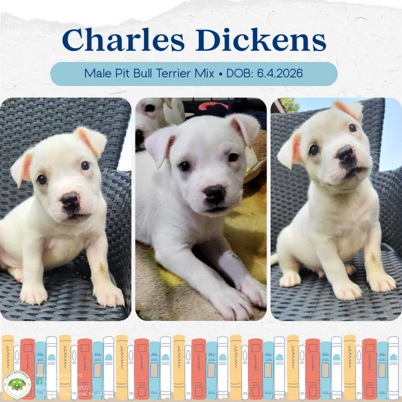Charles Dickens thumbnail 3