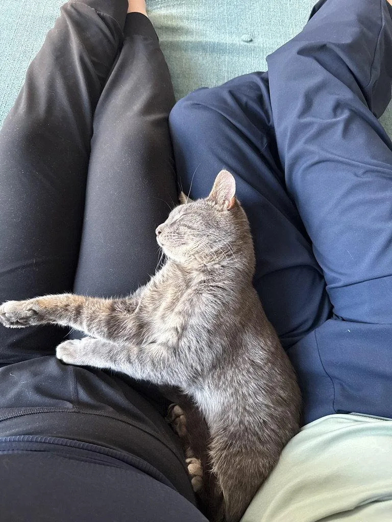 Blizzard thumbnail 2