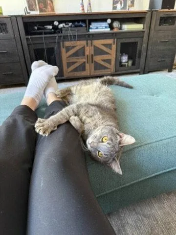 Blizzard thumbnail 3