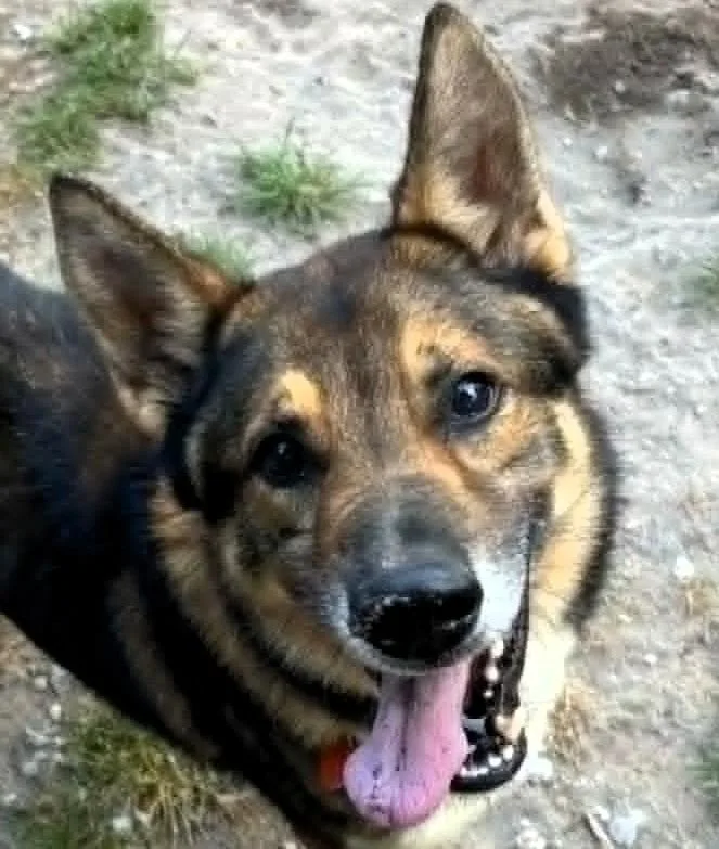 Cooper thumbnail 3