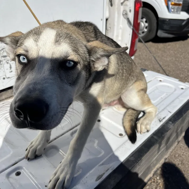 Zachariah thumbnail 2