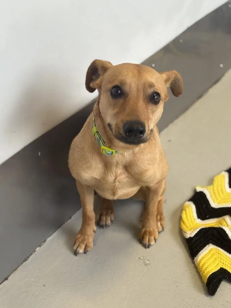 Big Willie thumbnail 2