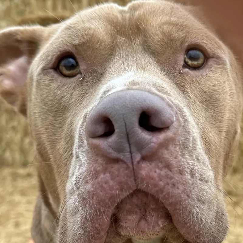 Kingston thumbnail 2