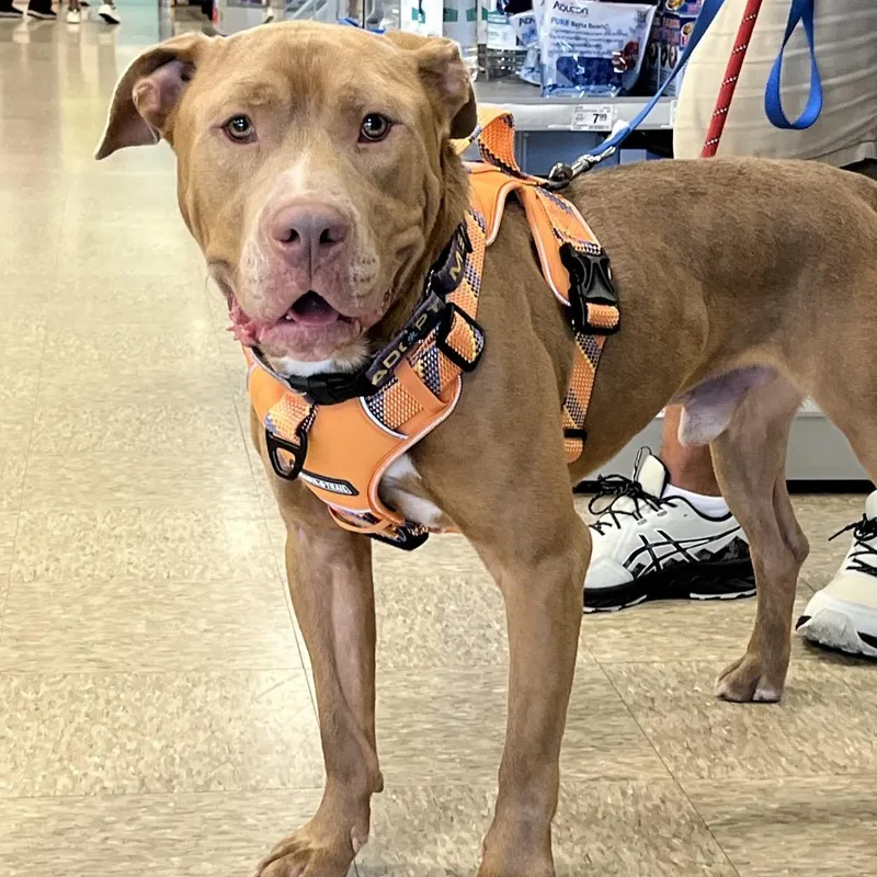 Kingston thumbnail 5