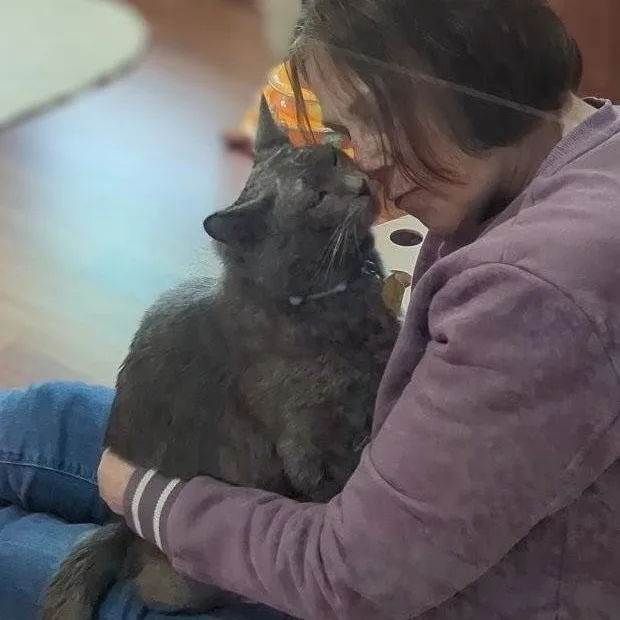 Slater  Fiv+ thumbnail 2