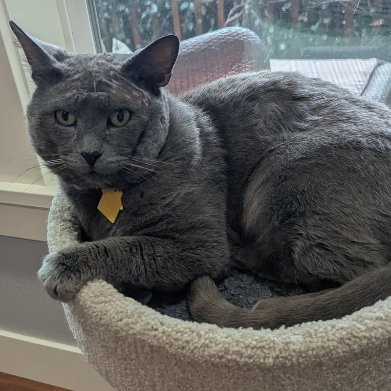 Slater  Fiv+ thumbnail 4