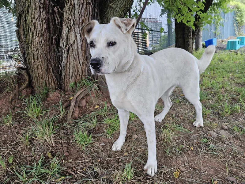 Princess thumbnail 2