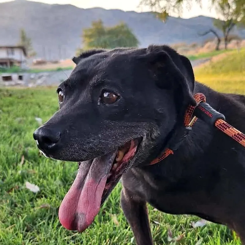 Esther