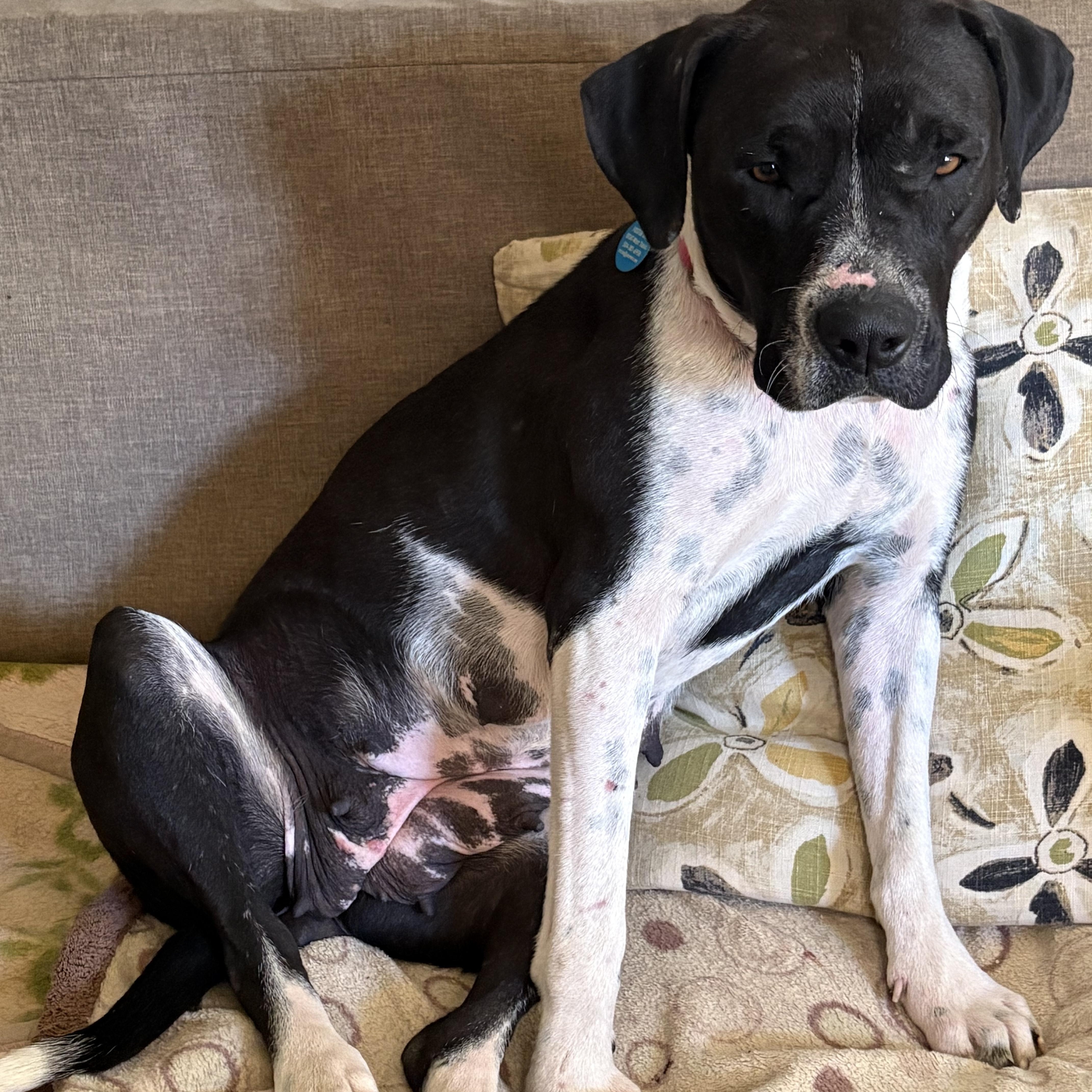 Lady Mae thumbnail 2