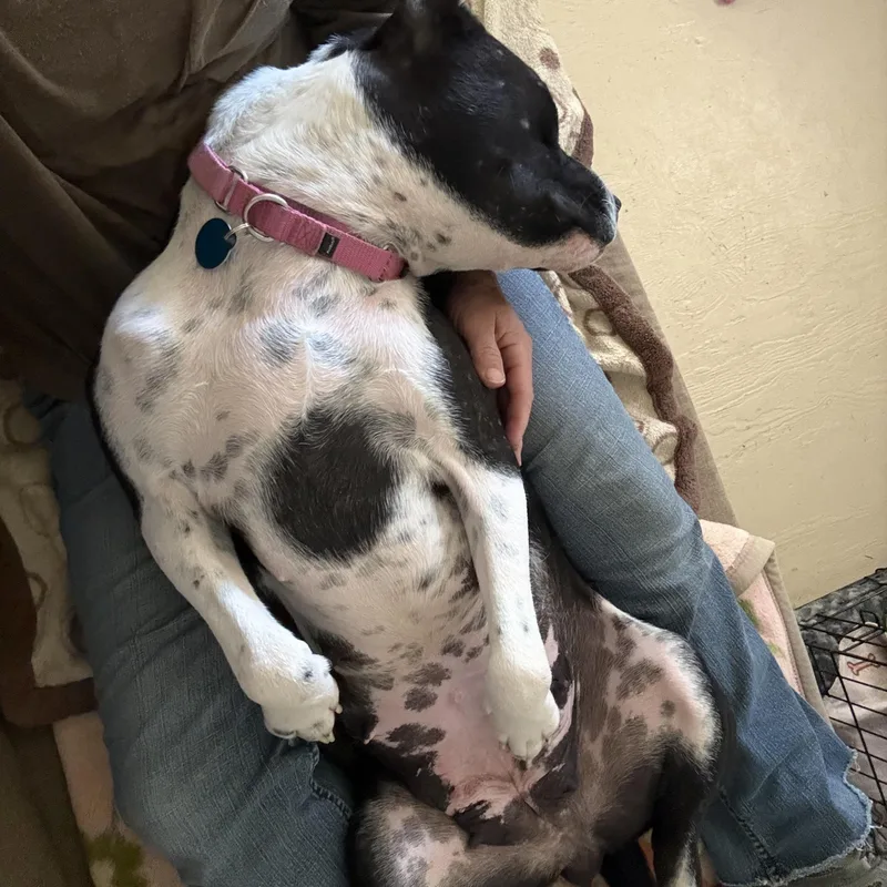 Lady Mae thumbnail 4