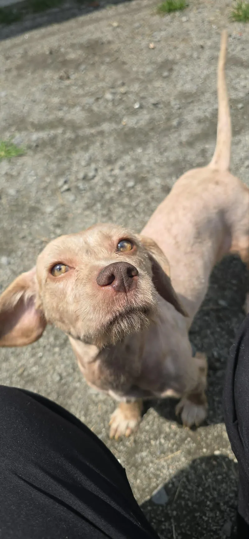 Coco