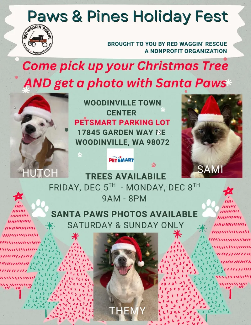 Brighton  Your Loyal thumbnail 4