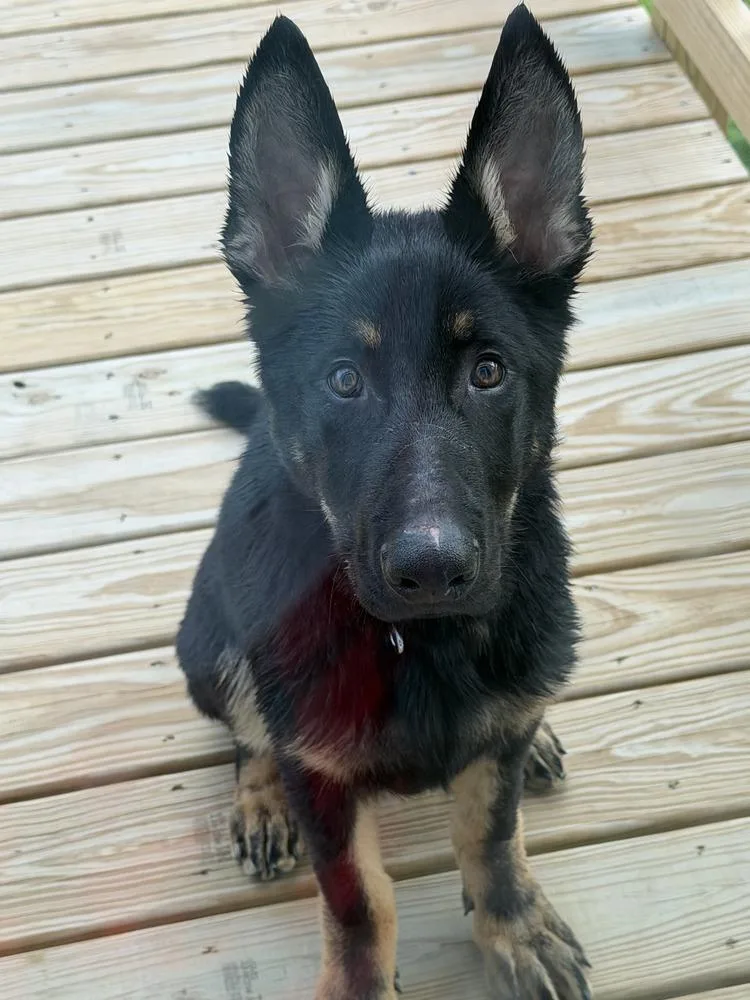 Loki Cool thumbnail 4