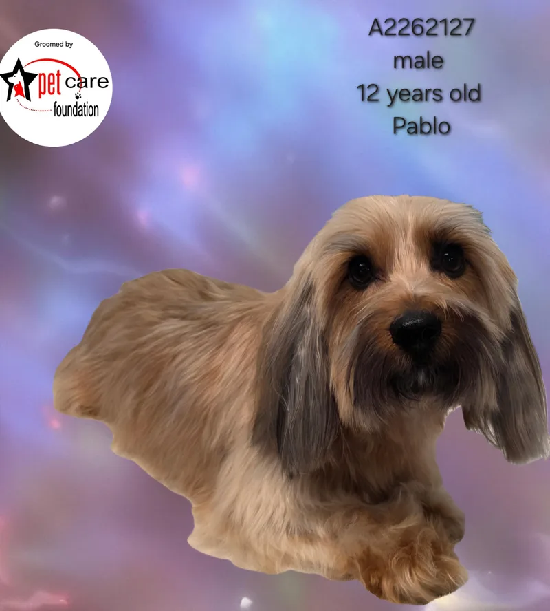 Pablo