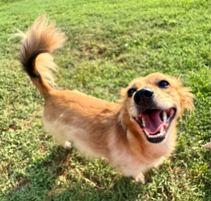 Maggie thumbnail 3