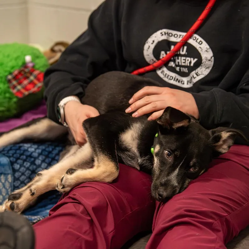 Jed Avail Sun thumbnail 5