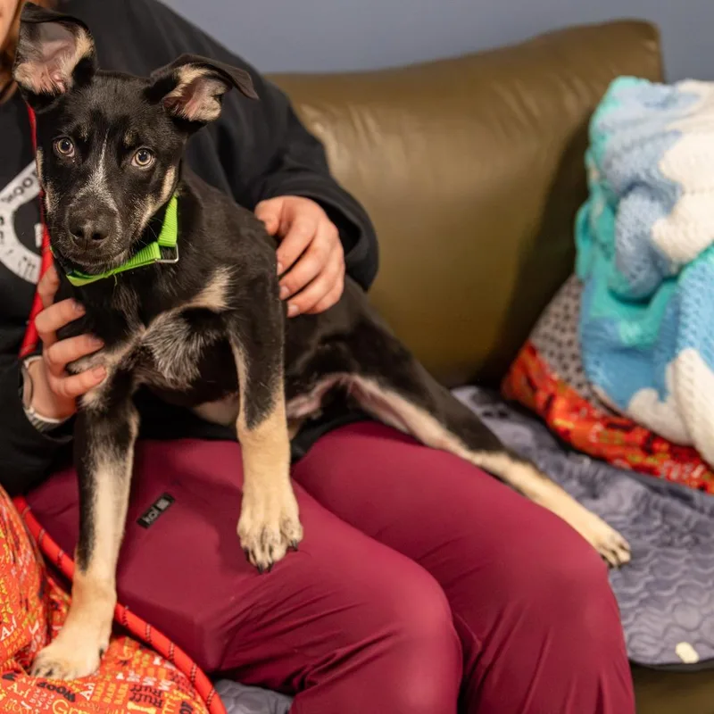 Jed Avail Sun thumbnail 6