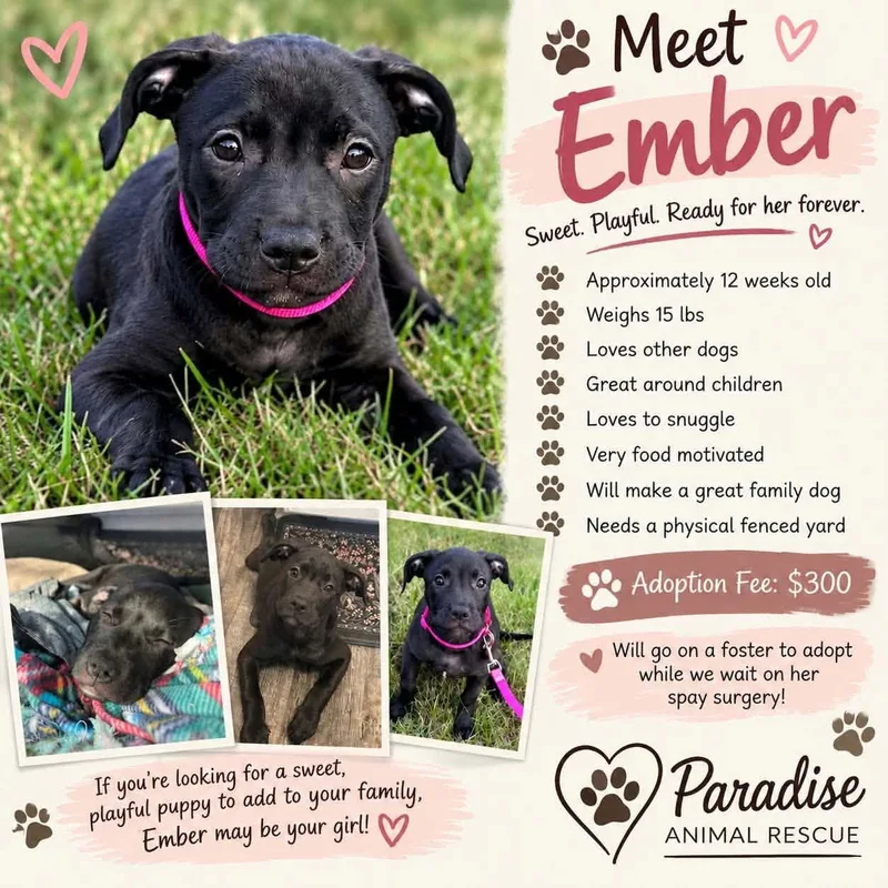 Ember thumbnail 2