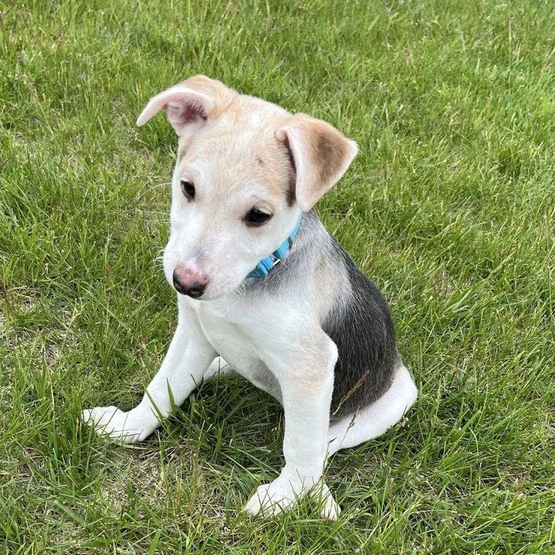 Sam