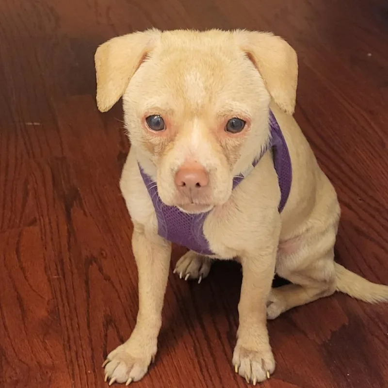 Lord Huron thumbnail 2