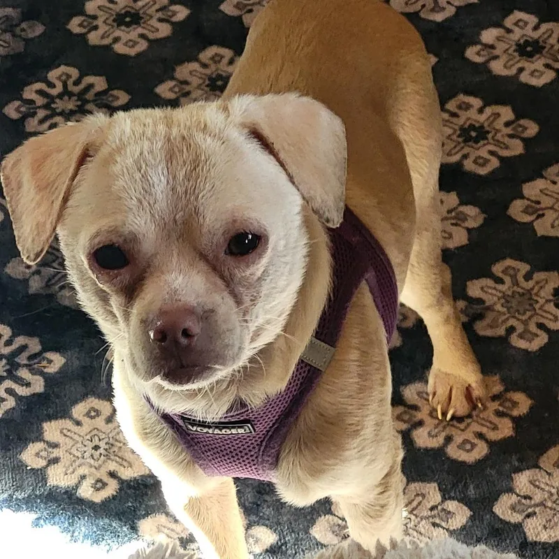 Lord Huron thumbnail 3