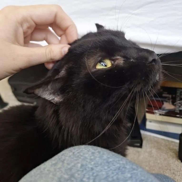 Muckmuck thumbnail 2