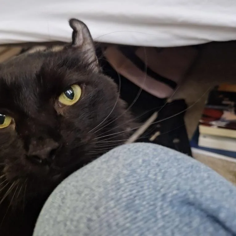 Muckmuck thumbnail 4